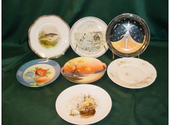 Group Of 7 Decorative Plates  (129)