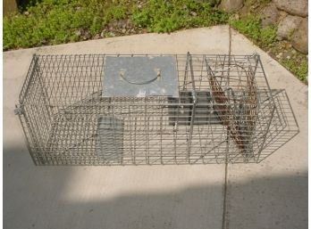 Have A Heart Animal Trap, 31' Long  (38)