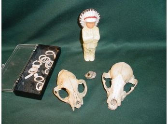 2 Animal Skulls, Plastic Indian Chief Doll, Mica Rock, Ornamental Shells (wampum?)  (27)