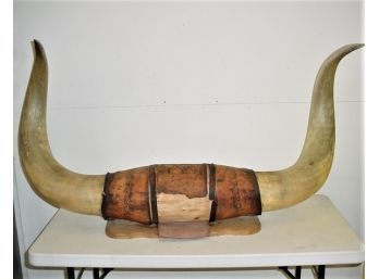 Monumental Set Of Steer Horns, 58' Wide   (225)