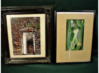 2 Framed Images, Cacti, 13'x 16' Fred Marshal  & Ornate Frame, 11'x 15'   (204)