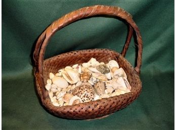 Basket Full Of Sea Shells  (108)