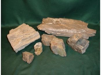 Assorted Petrified Wood Pieces   (231)