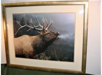 Framed Elk Print By Smith, 32'x 27'   (247)