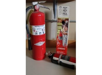 2 Fire Extinguishers   (307)