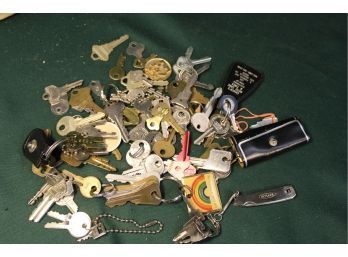 Large Lot Of Keys And Key Chains  (84)