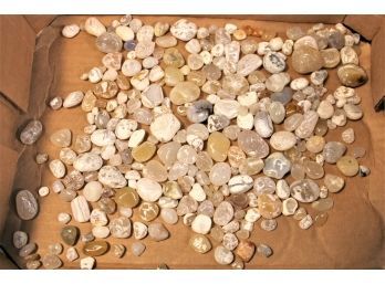 Box Lot Of Assorted Polished California Beach Agates   (376)