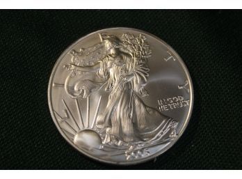 2005 1 Oz Fine Silver One Dollar  Coin (46)