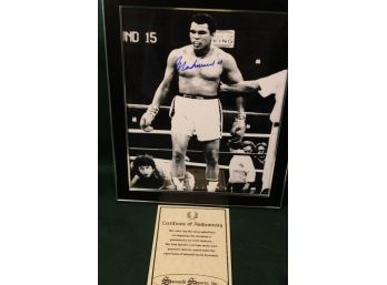8' X10' Framed Mohammed Ali Signed Photo    (56)