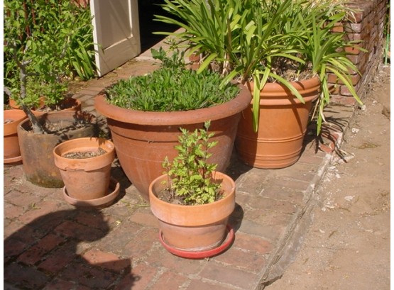 Flower Pots: 2 Large Clay Pots, 6 Small Clay Pots  (1084)