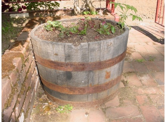 Barrel Planter