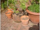 Flower Pots: 2 Large Clay Pots, 6 Small Clay Pots  (1084)