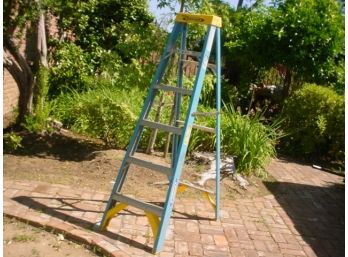 Werner 6' Folding Ladder  (1008)