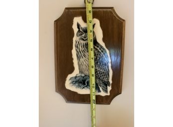 Wise Ole Owl Wall Art