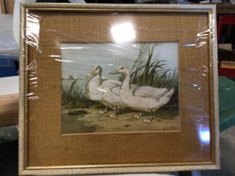 Harrison Weir, Br. 1824-1906, White Aylesbury Ducks, 1853