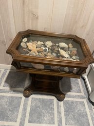 Glass Display Table Rocks Gemstones Seashells Sand Dollars And More