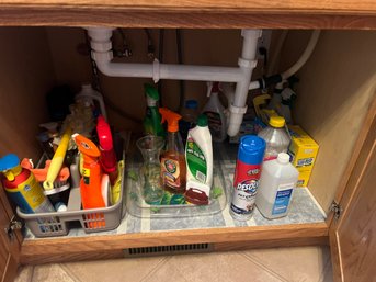Large Lot Of Household Cleaning Chemicals  & Items