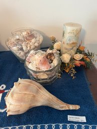 Large Lot Of Seashells And Decor - Includes Large Conch Shell!
