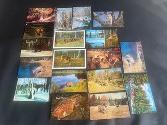 Lot Of 18 Vintage Wildlife / Deer Postcards