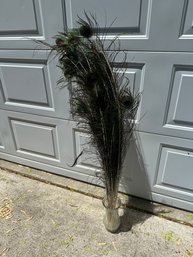 Peacock Feathers Natural With Glass Vase