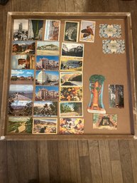 Lot Of Postcards With California Redwood Postcards