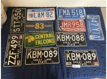 Licenses Plate Lot Plates Michigan