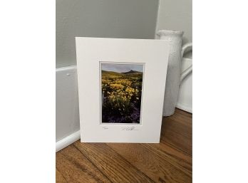 Lovely Scenery Print Which Is Numbered 26/200 And Signed