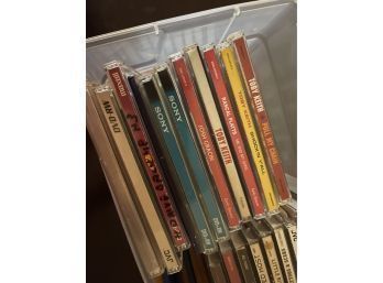Lot Of CDs - All In Their Cases!