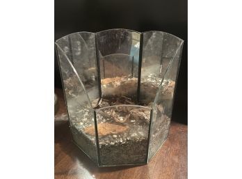 Glass Terrarium With Mirrored Back