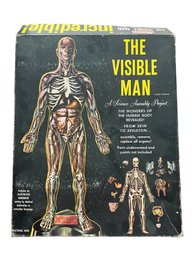 The Visible Man, A Science Assembly Project