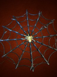 Light Up Web With Glow In The Dark Spider