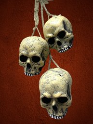 3 Hanging Skulls