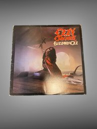 Metallica, Iron Maiden, Ozzy Osborne, The Cure, Led Zepplin Vinyl Lot
