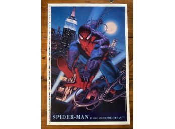 Spider-Man By Greg And Tim Hilderbrant, 1994 Marvel Poster #179