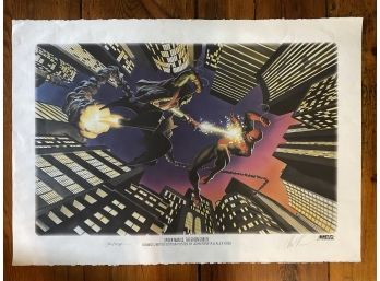 Spider-Man VersusSpider-Man Versus Green Goblin, Printed On Quality Paper, Signed By Rominta & Ross