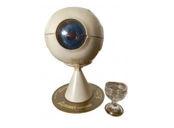 Vintage Human Eye Anatomical Model And A Antique Glass Eye Wash