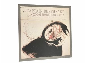 Captain Beefheart Sun Zoom Spark 1970 To 1972 For Disc Set