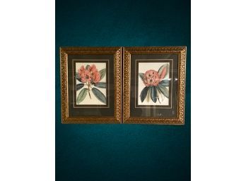 Two Pieces Coordinating Floral Wall Accent Art In Matching Frames