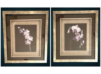 Pair Of Coordinating Black & White Photos Of White Orchids In Brushed Silver Tones Frame