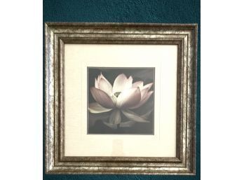 Lotus Flower In Quality Layered Mat And Brushed Silver Toned Frame