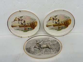 Three Liverpool Pottery Decorative Plates - 12 Inches