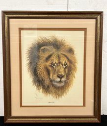 Large African Lion Print Signed Farnsworth - 30x34 Framed