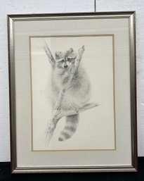 Raccoon Print Signed And Numbered - Marilyn Arn