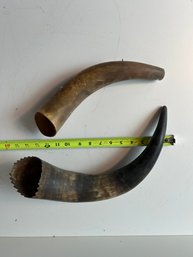 Two Horns - 15.5 & 12.5