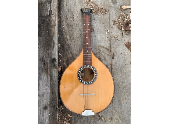 C H Bohm, Germany Waldzither/mandolin - 13x27