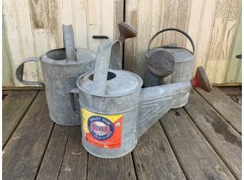 3 Galvanized Watering Cans