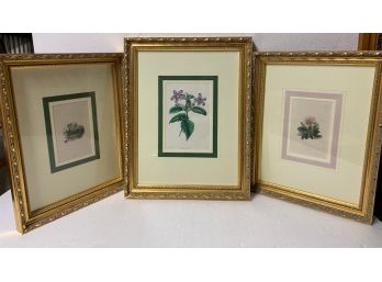 Group Of Three Floral Prints