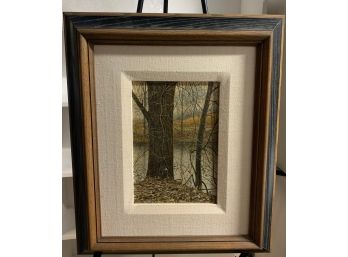 Oil On Board Titled Two Trees And Vines -  Signed White 78 - 10x7