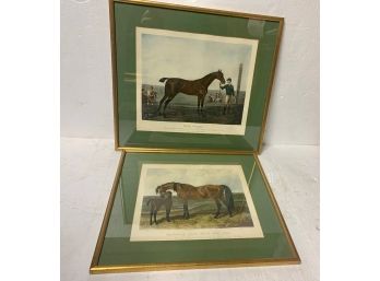 Pair Of Equestrian Prints - King Herod - Thorough Bred Mare And Foal- 12x13 - 13x15