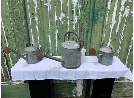 3 Watering Cans